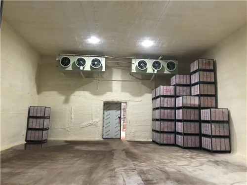 OD线上官网(集团)官方网站苹果冷库安装案例