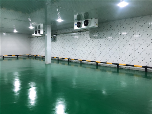 OD线上官网(集团)官方网站蔬菜保鲜库